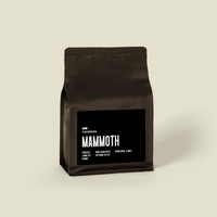 Mammoth Medium Roast Coffee
